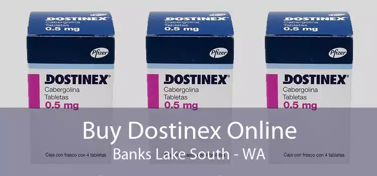 Buy Dostinex Online Banks Lake South - WA